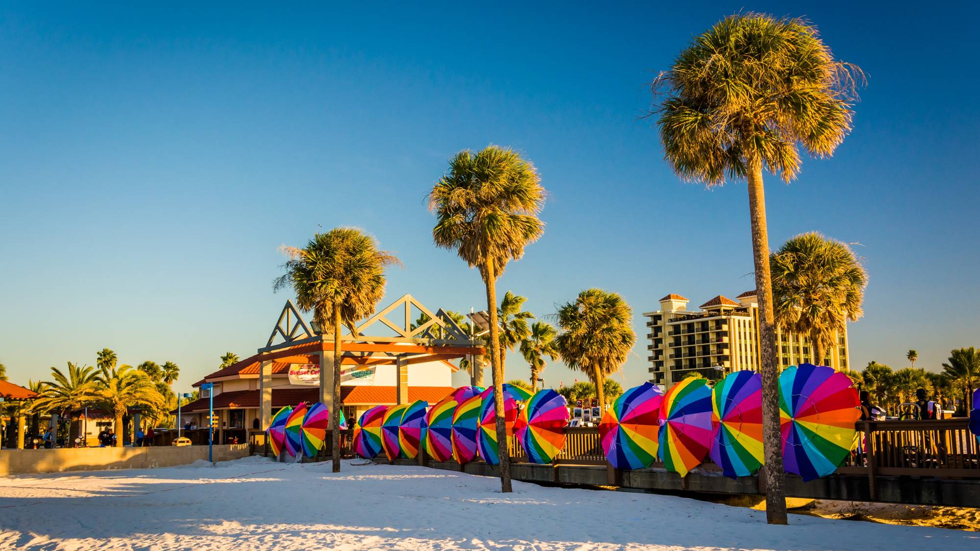 a row of colorful umbrellas on the beach